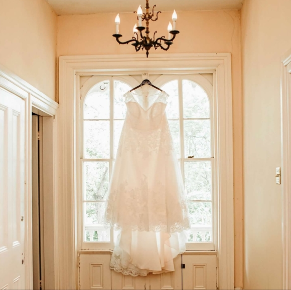 Ivory/Champagne V-neck Scalloped Lace Wedding Dress - Picture 4 of 12